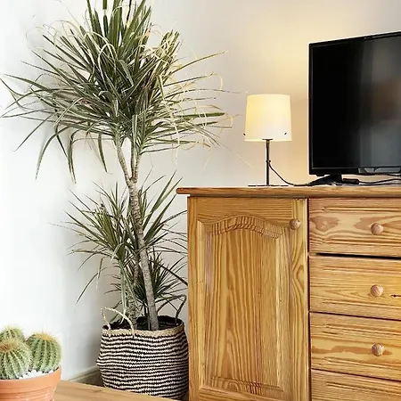 La Guanchita - Ocean Tacoronte