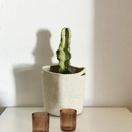 La Guanchita - Ocean * Tacoronte